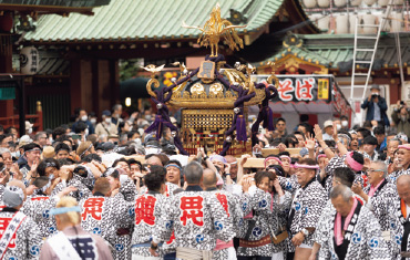 <br />
<b>Warning</b>:  Undefined variable $nihonbashi_yon in <b>/var/www/vhosts/kandamatsuri.com/httpdocs/include/pages/mikoshimiyairi.php</b> on line <b>73</b><br />
<br />
<b>Warning</b>:  Trying to access array offset on value of type null in <b>/var/www/vhosts/kandamatsuri.com/httpdocs/include/pages/mikoshimiyairi.php</b> on line <b>73</b><br />
